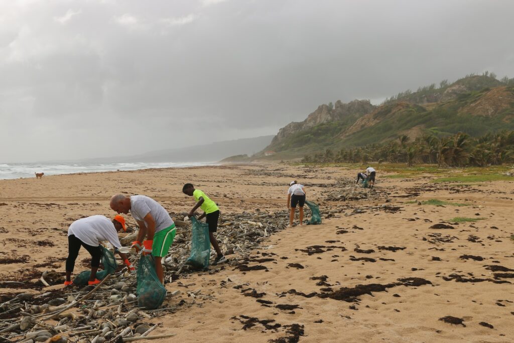 people picking garbage near beach
